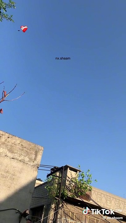 "Unshakable Faith: Standing Firm in God's Promises"