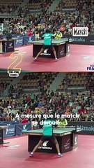 Découverte des Frères Lebrun : Les Champions Français de Tennis de Table 🏓