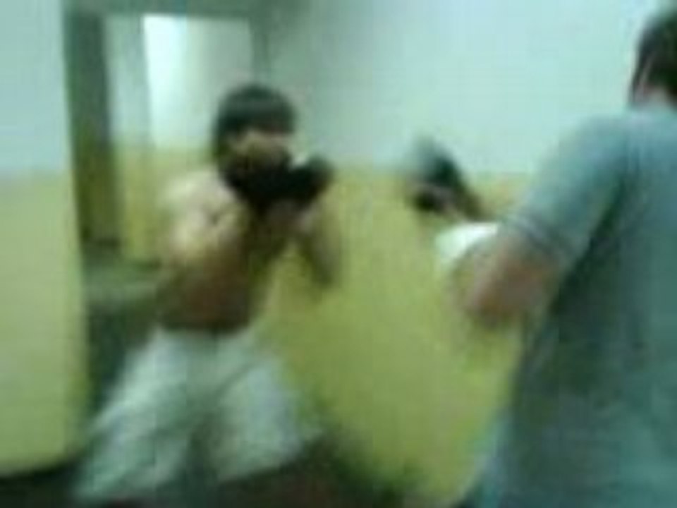 boxer