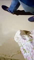 يا ليالي يا ليالي: استرجع أجمل ذكريات الليالي الساحرة ✨