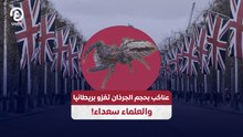 عناكب بحجم الجرذان تغزو بريطانيا  والعلماء سعداء!