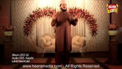 Zulfiqar Ali Hussaini - Dar e Nabi Per - Heera Gold - Official Video