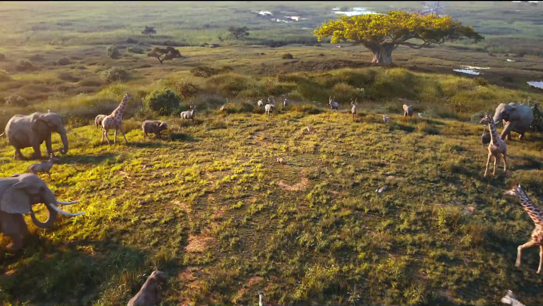 Mufasa: The Lion King Official Trailer #1 (2024 Film) Starring Aaron Pierre and Kelvin Harrison Jr.