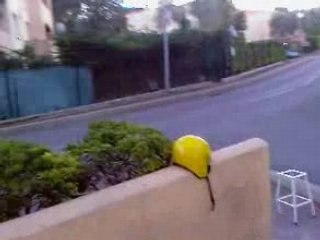 B.O en chair et en os !!!