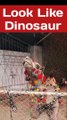 Looks Like Dinosaur 