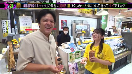 ヨエロスン 猫ついてってイイですか！？＆キャッツ静岡公演へ突撃！