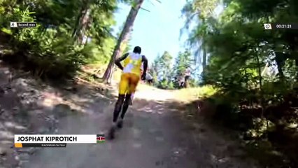 Golden Trails - Sierre-Zinal