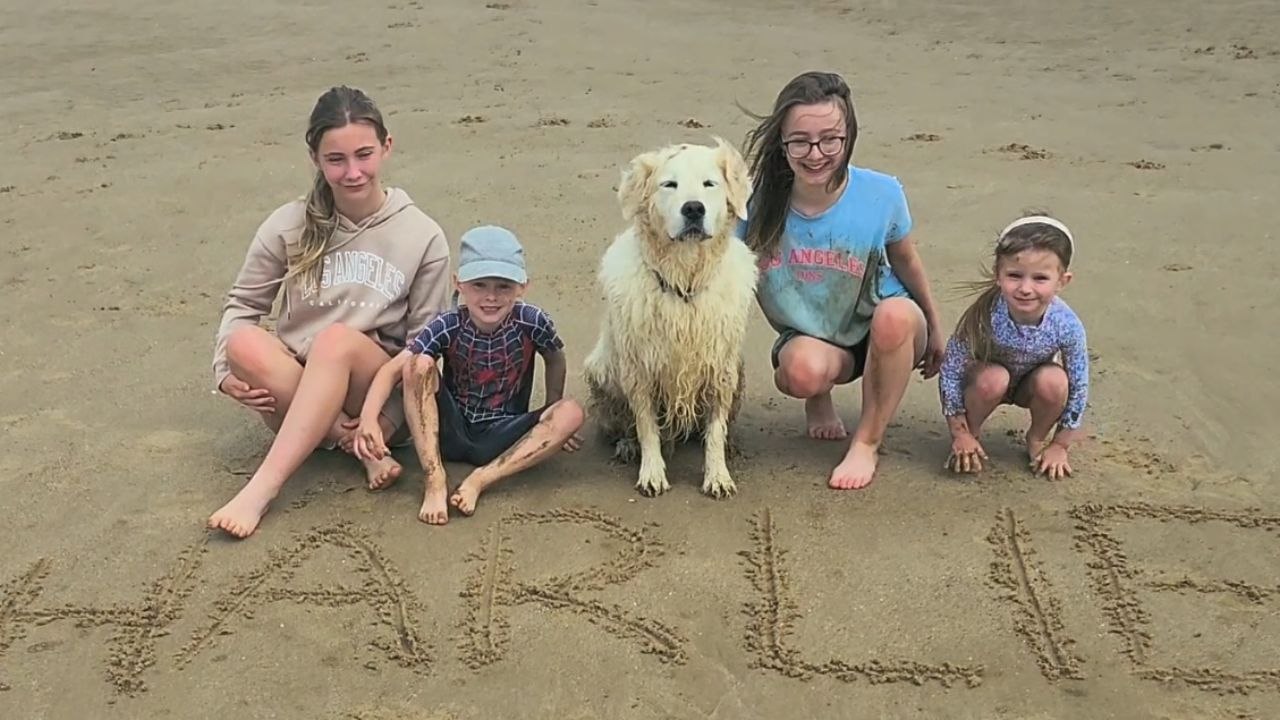 Moving tribute from late dog and introduction of new puppy bring comfort to grieving family