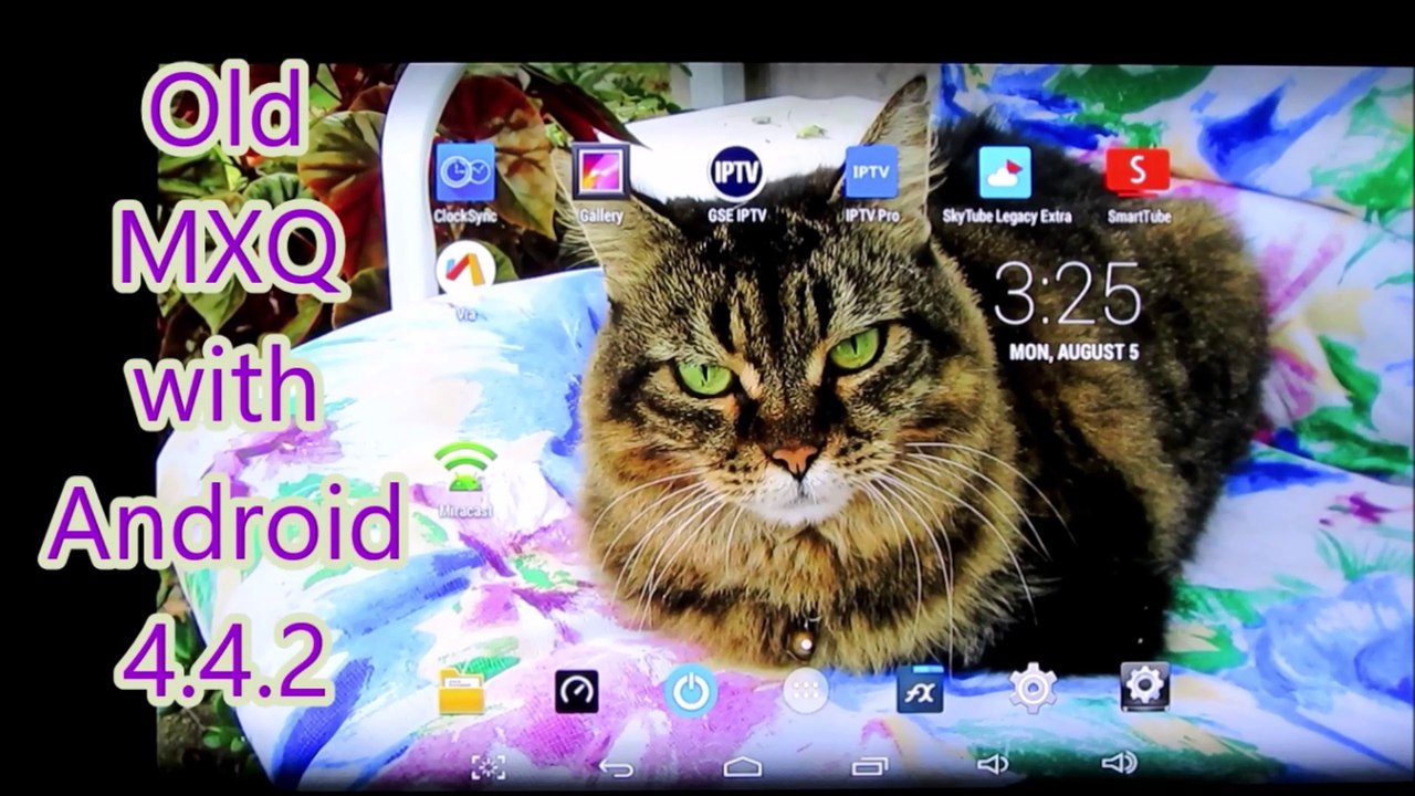 Will It Stream? Summer 2024 Update!