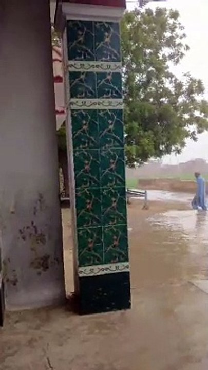 Rain