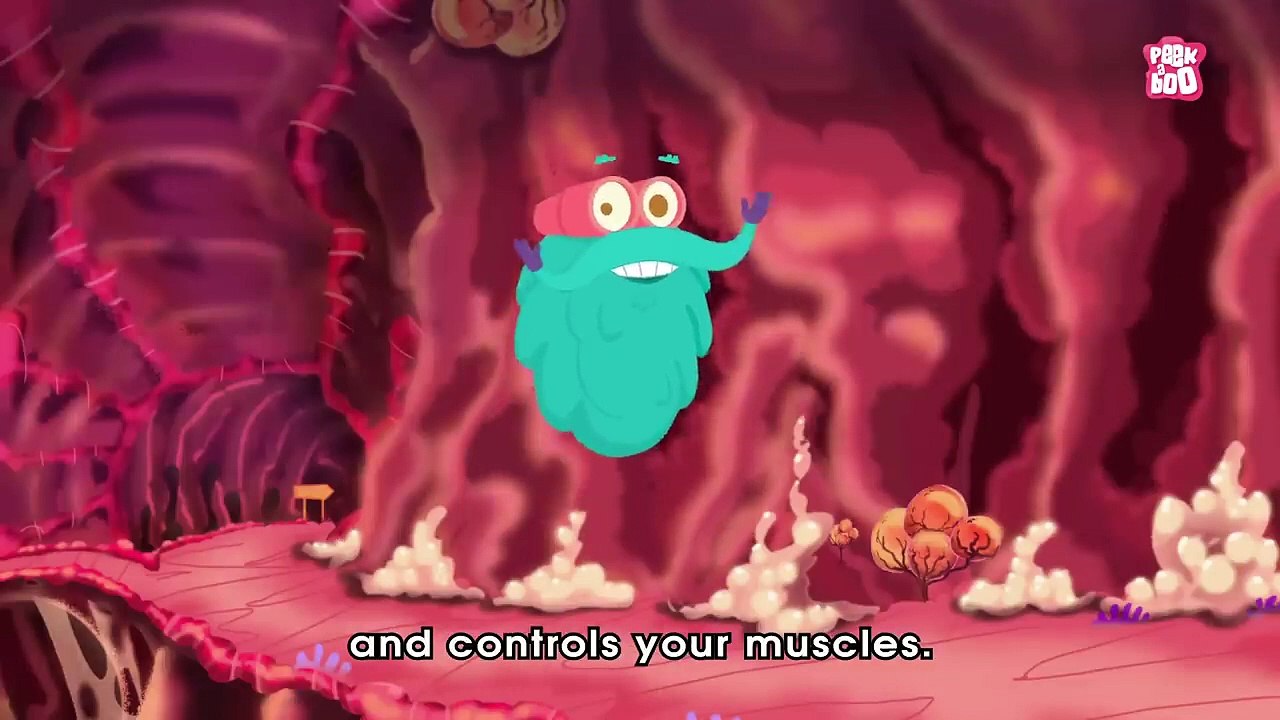 How Your Brain Works_ - The Dr. Binocs Show _ Best Learning Videos For Kids _HD