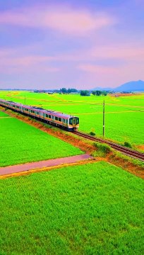 Japan Echigo Line Niigata #shorts #japan #japantravel