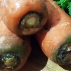 -ANDRÉS DE JESÚS VÉLEZ FRANCO-  Mayor Oferta Cultural de un país vibrante y diverso   (PARTE 2) (@AndresdeJesus90)