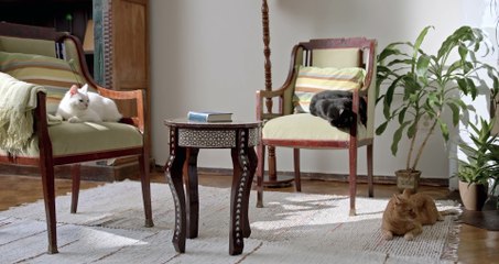 Mixed Luxury 2 & 3 BHK Apartment is launched in Bangalore