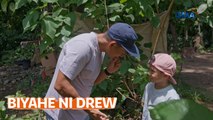 Biyahero Drew at Kuya Primo, nag-bonding sa isang farm sa El Nido, Palawan | Biyahe Ni Drew