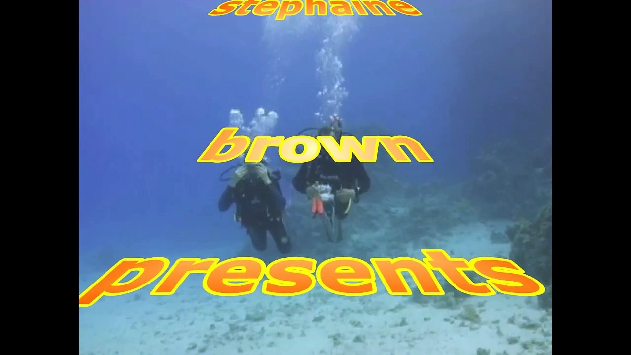 my intro