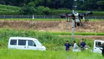 Drone Spraying Rice Fields in Japan