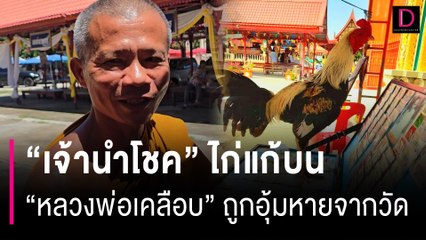 ไม่รู้ชะตากรรม? "เจ้านำโชค" ไก่แก้บน "หลวงพ่อเคลือบ" ถูกอุ้มหายจากวัด | HOTSHOT เดลินิวส์ 11/08/67