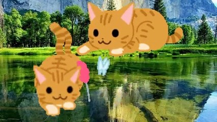 Cute Friends | Animals can make you laugh