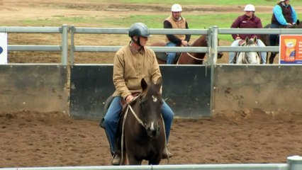 A deeper look into the booming interest in performance horses