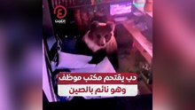 دب يقتحم مكتب موظف وهو نائم بالصين