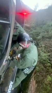 Resgate de cão que caiu em fenda de 30 metros mobiliza operação estilo Missão Impossível em SC