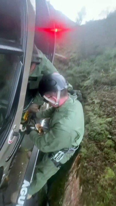 Resgate de cão que caiu em fenda de 30 metros mobiliza operação estilo "Missão Impossível" em SC