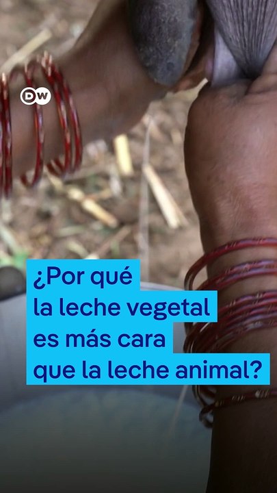 ¿Por qué la leche vegetal es más cara que la leche animal?
