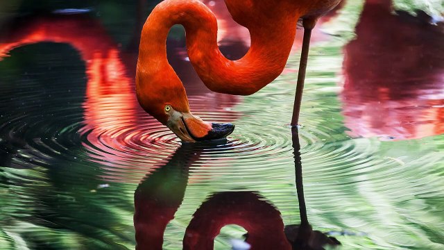 51. Blender Tutorials - Episode 51 - Transparent Glass _ Glass Modeling in Blender _ 3D Glass Making