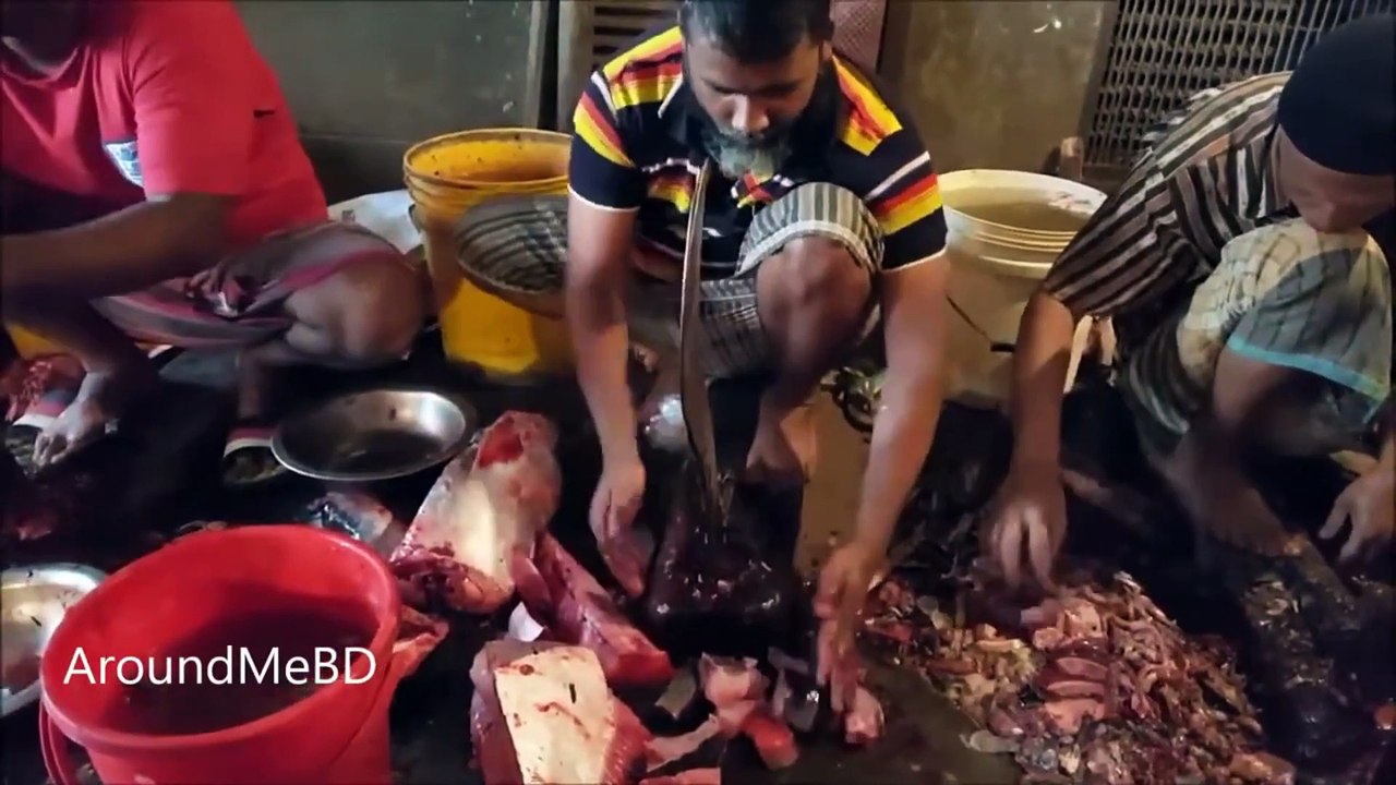 Fish cutting skills