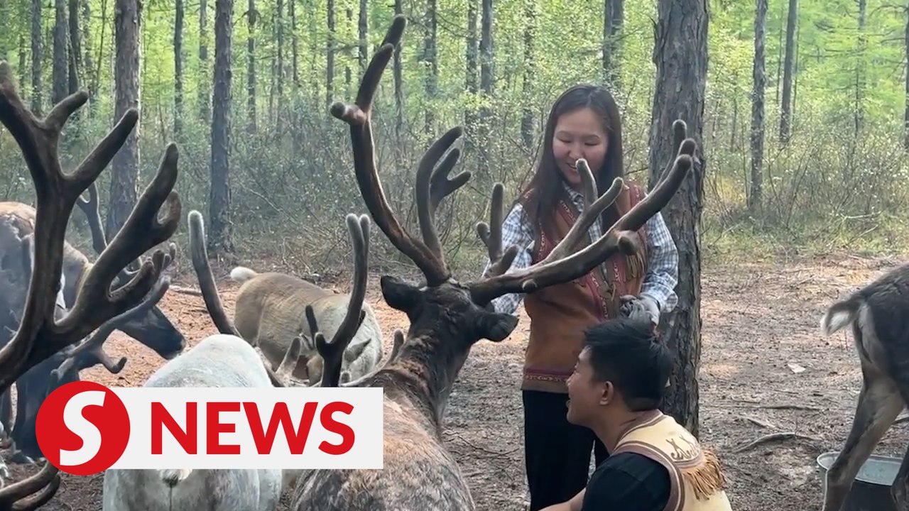Visiting China's "last hunting tribe"