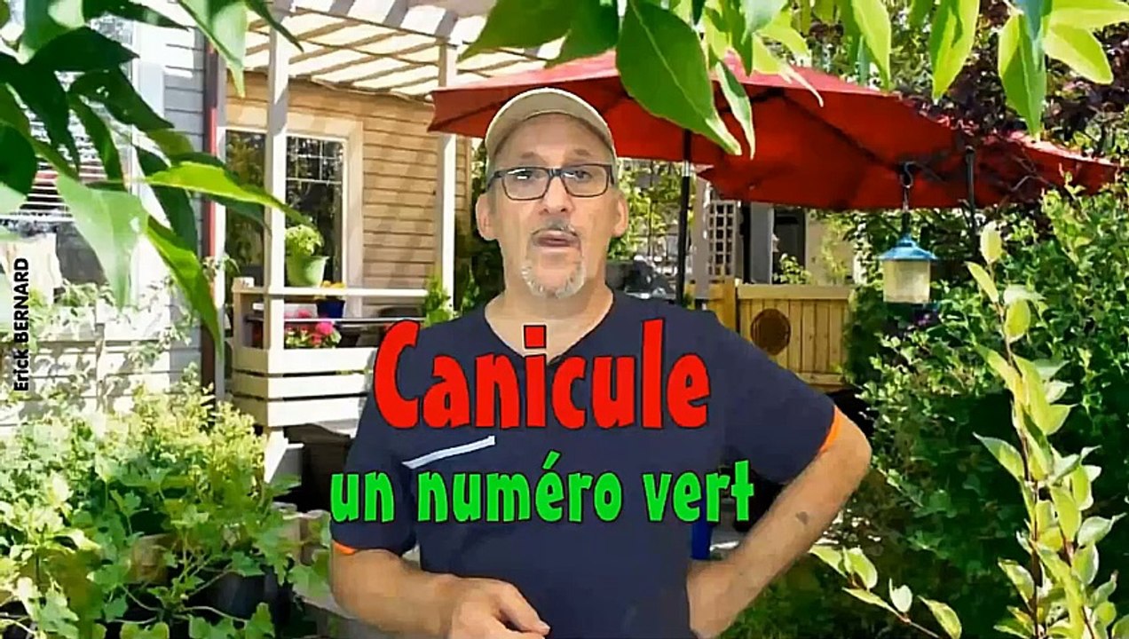 Un numéro vert pour la canicule