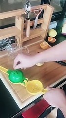 Fresh Presser Fruit Extractor Orange Citrus