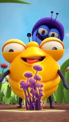 Funny video / comedy video