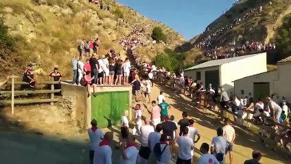 Emocionante Primer Encierro del Pilón de Falces de 2024