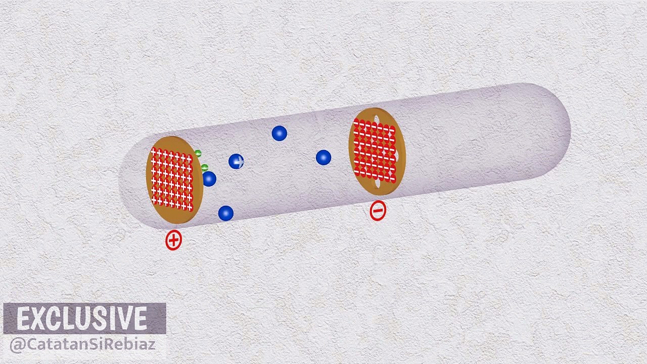 Canal Ray Experiment: Discovery of Protons