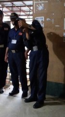 Travel and natural plasis mix chanal