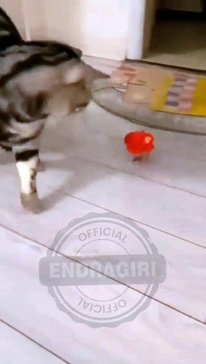Merah