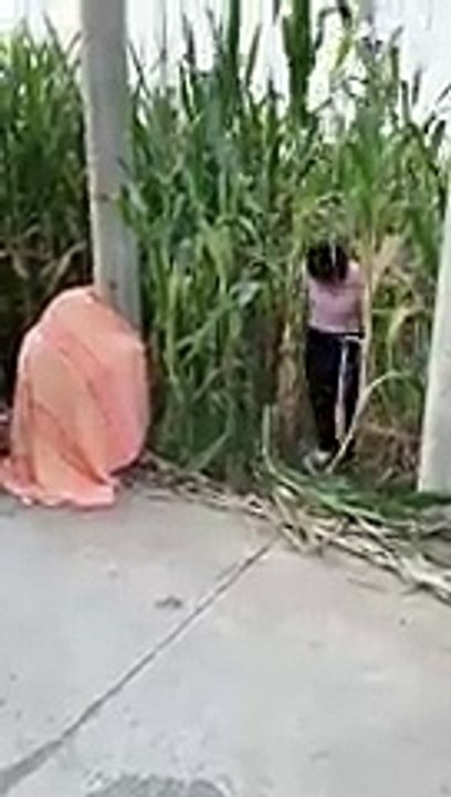 Funny video