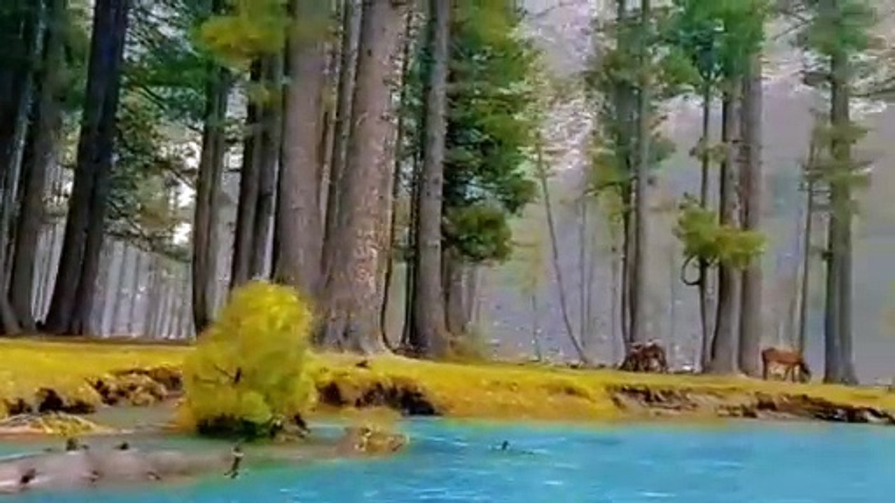 Nature