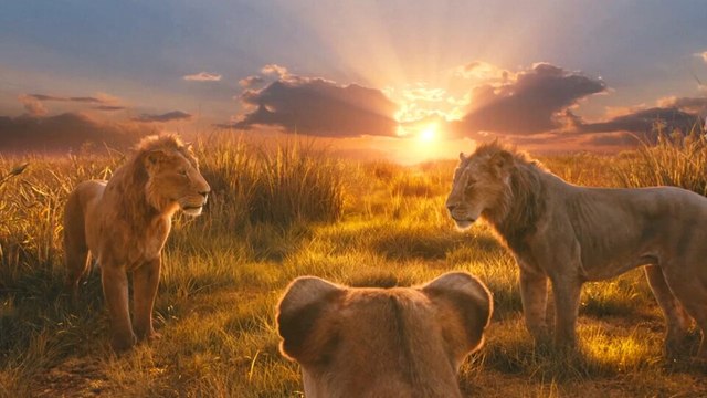 Mufasa - Im Prequel zu König der Löwen erfahrt ihr, wie Simbas Vater zum König wurde