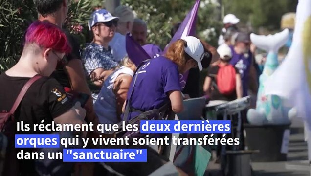 Antibes: manifestation pour l'avenir des orques du Marineland