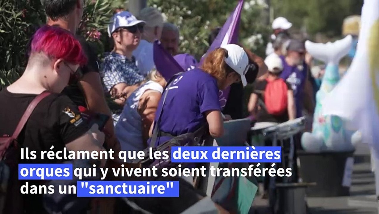 Antibes: manifestation pour l'avenir des orques du Marineland