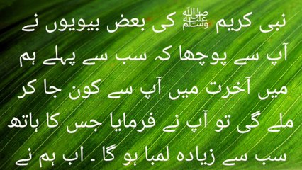 امت المومنین کے بارے میں حدیث نبی کریم صلی اللہ علیہ والہ وسلم