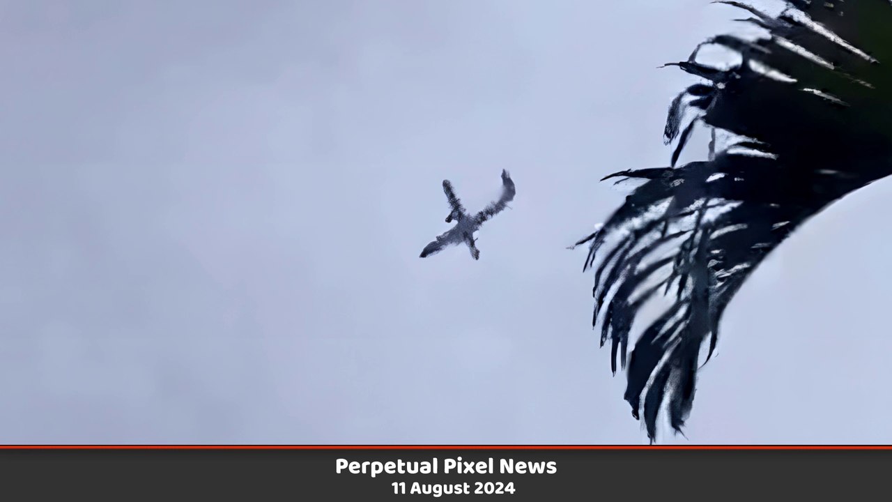PPN World News Headlines - 11 Aug 2024