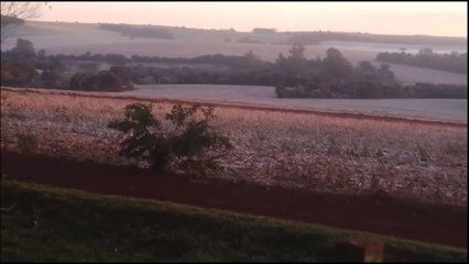 Internautas registram geada em Cascavel