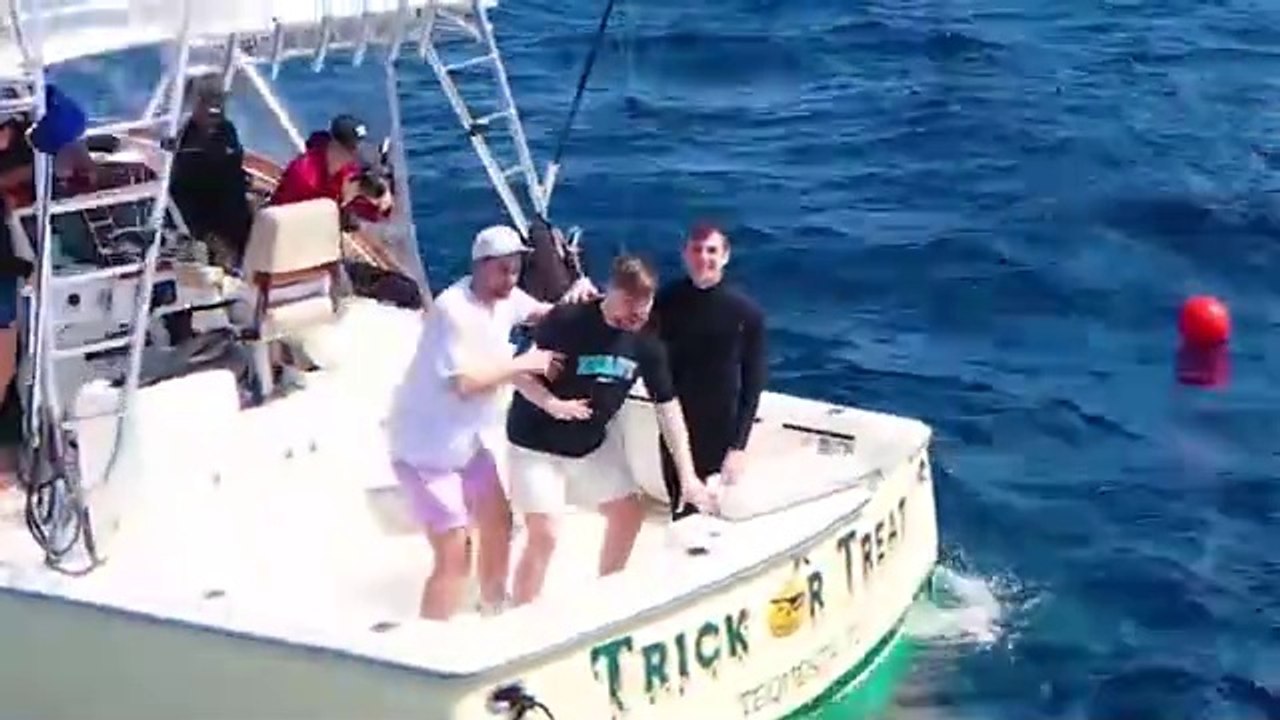 Would_You_Swim_With_Sharks_For_$100,000_(360p)