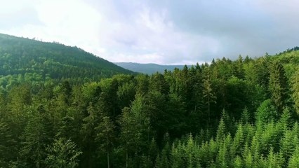 RAAGOTSAV HINDUSTANI MUSIC CHANNEL