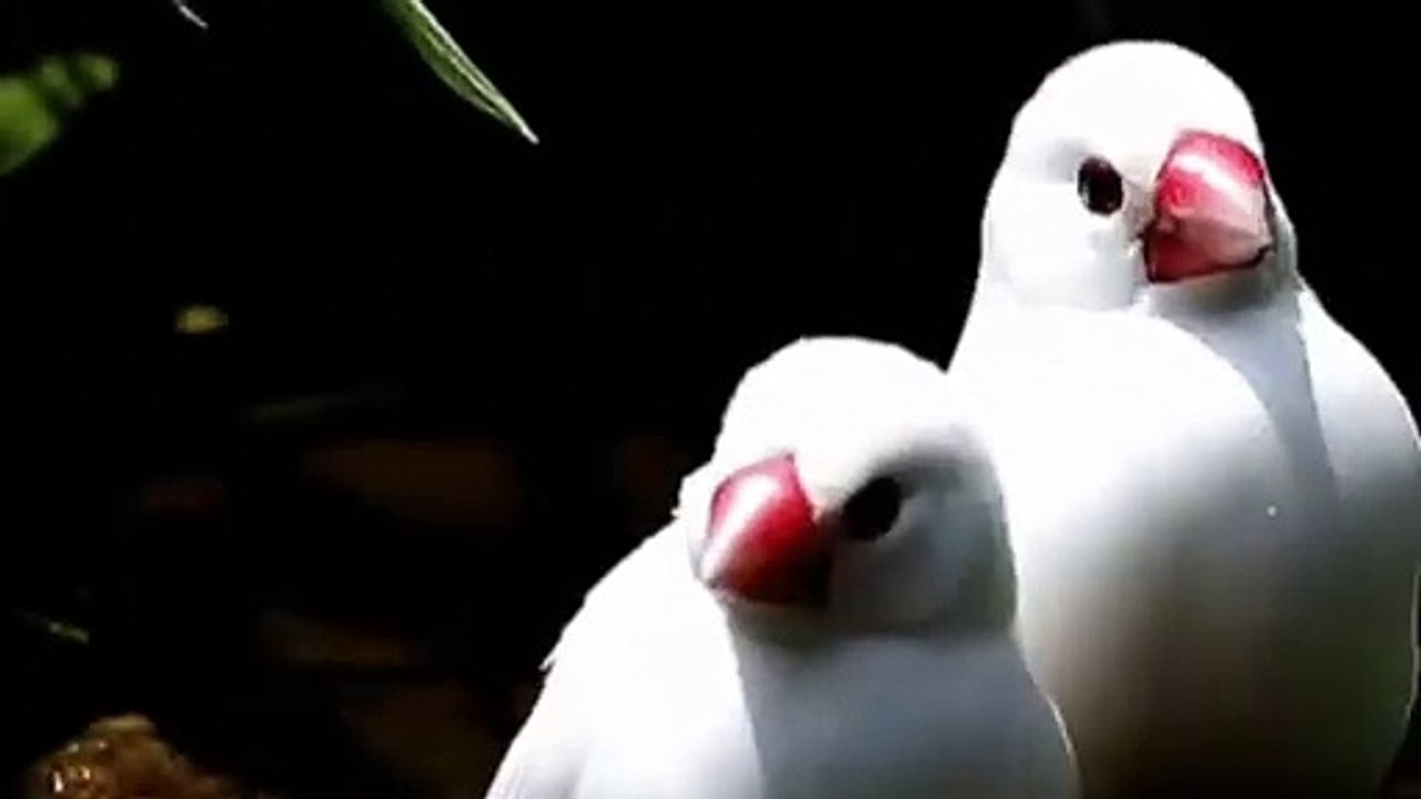 Cute Friends | Look how they happy