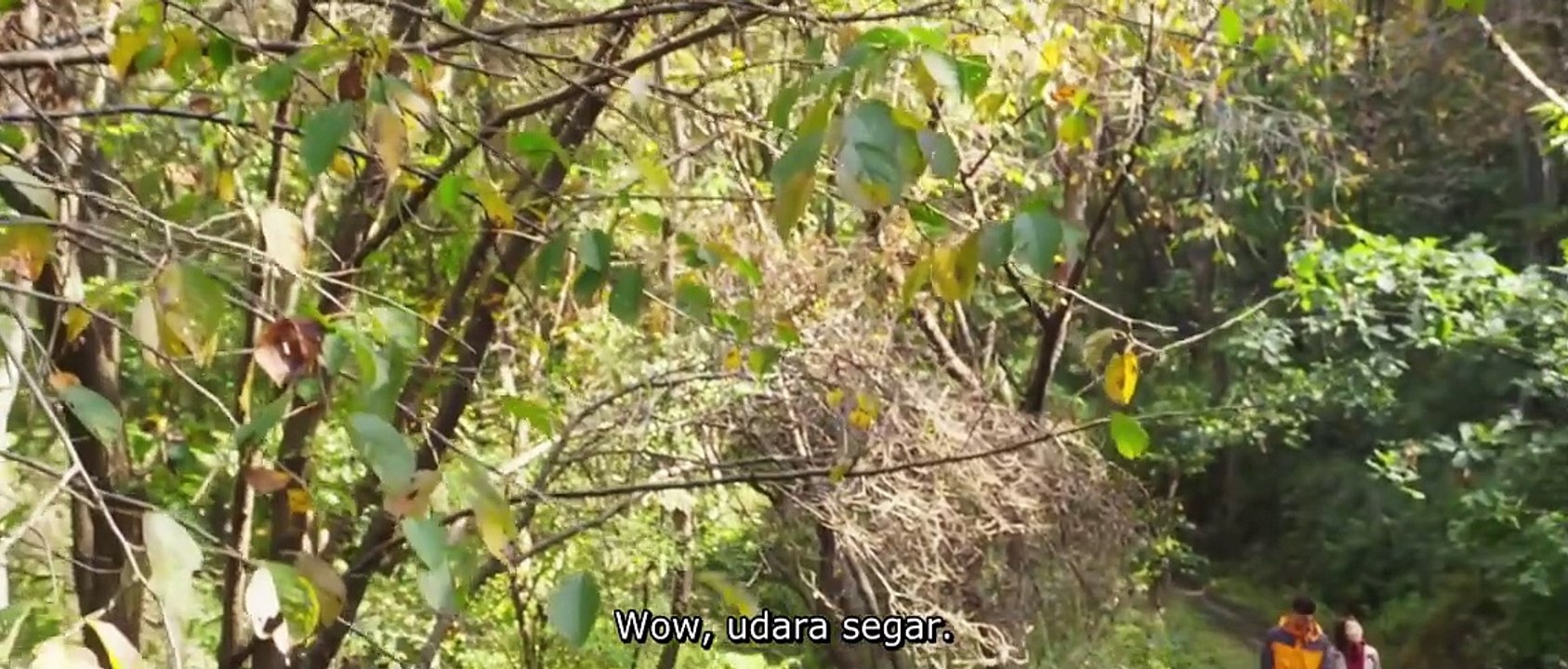 Deep Trap (2015)